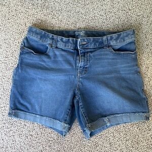 Terra & Sky Jean Shorts